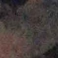 JPEG - 603.4 kio