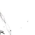 JPEG - 215.7 kio