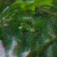JPEG - 984.6 kio