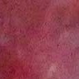 JPEG - 487.5 kio