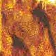JPEG - 260.7 kio