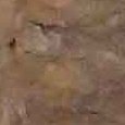 JPEG - 557.3 kio