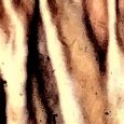 JPEG - 841.6 kio