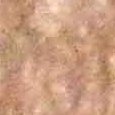 JPEG - 581.3 kio