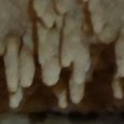 JPEG - 211.7 kio