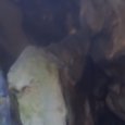 JPEG - 238.1 kio