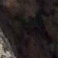 JPEG - 503.7 kio