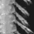 JPEG - 117.3 kio
