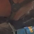 JPEG - 347.5 kio