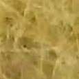 JPEG - 486 kio