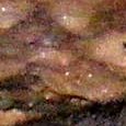 JPEG - 423.2 kio