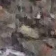 JPEG - 475 kio