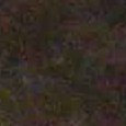 JPEG - 558.6 kio