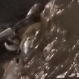 JPEG - 535.6 kio