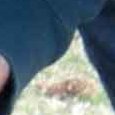 JPEG - 590.1 kio
