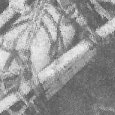 JPEG - 528.2 kio