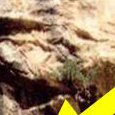 JPEG - 570.2 kio