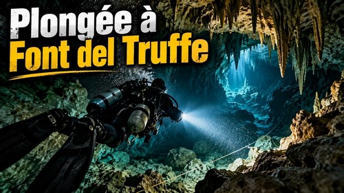 Voir la vidéo