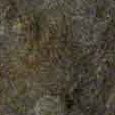 JPEG - 138.8 kio