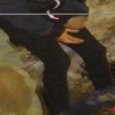 JPEG - 403.8 kio