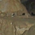 JPEG - 313.2 kio