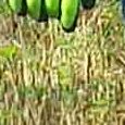 JPEG - 740.2 kio