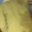 JPEG - 228.8 kio