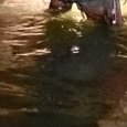 JPEG - 108.2 kio