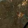 JPEG - 145.3 kio