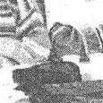 JPEG - 432.8 kio