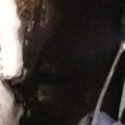 JPEG - 128.8 kio
