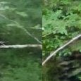 JPEG - 191.7 kio