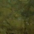 JPEG - 240.9 kio