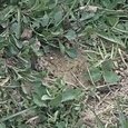 JPEG - 636.7 kio