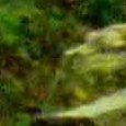 JPEG - 881.9 kio