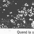 JPEG - 426.1 kio
