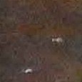 JPEG - 472.4 kio