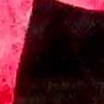 JPEG - 262.8 kio