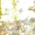 JPEG - 489.7 kio