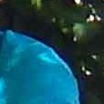 JPEG - 1009 kio