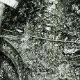JPEG - 562.5 kio