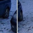 JPEG - 195.3 kio