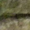 JPEG - 793.8 kio