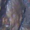 JPEG - 528.3 kio