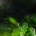 JPEG - 711.4 kio