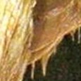 JPEG - 282.2 kio