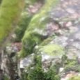 JPEG - 340.6 kio