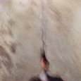JPEG - 425.5 kio